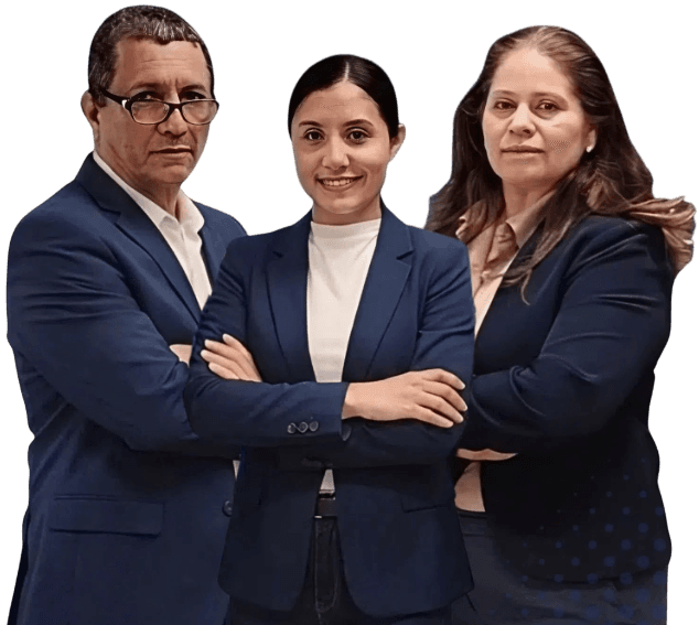 Professional lawyers team